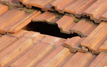 roof repair Bog, Shropshire